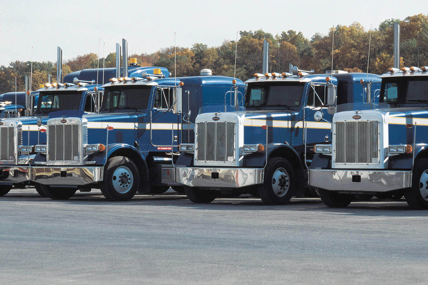 Blue semis witha a white stripe parked in a row
